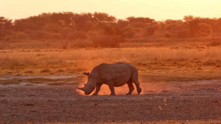 Botswana - MyTravelTricks.com