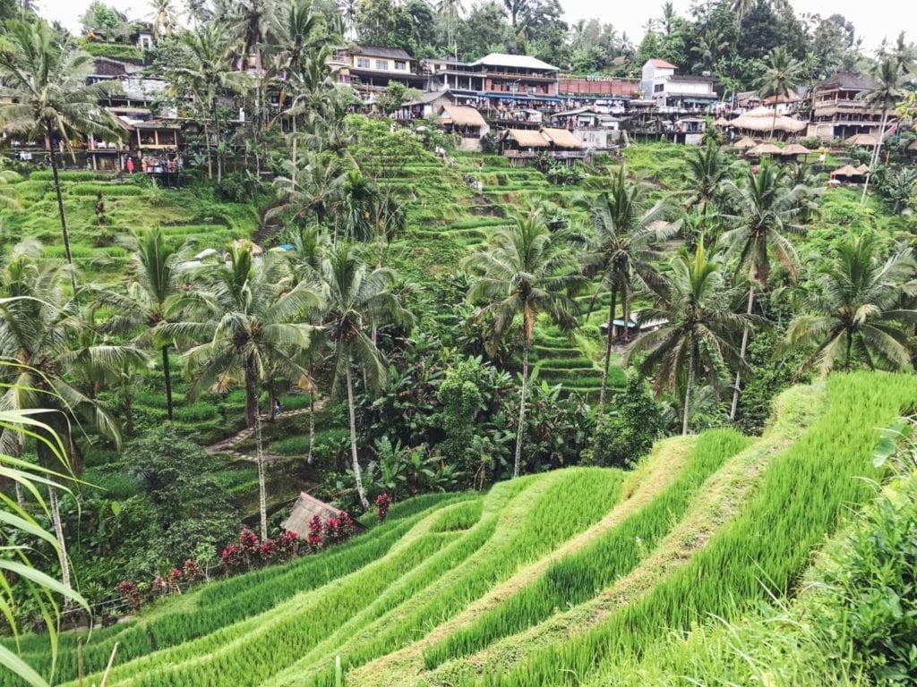 Ashna - Bali, LifeAndAsh.com