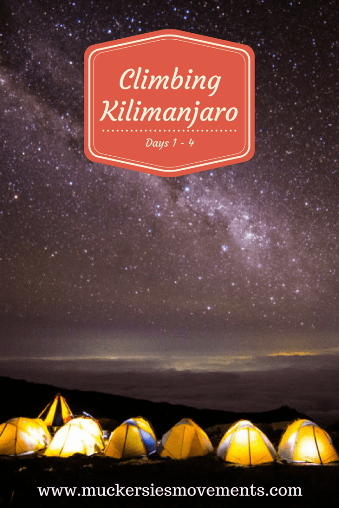 Climbing Kilimanjaro Days 1 - 4