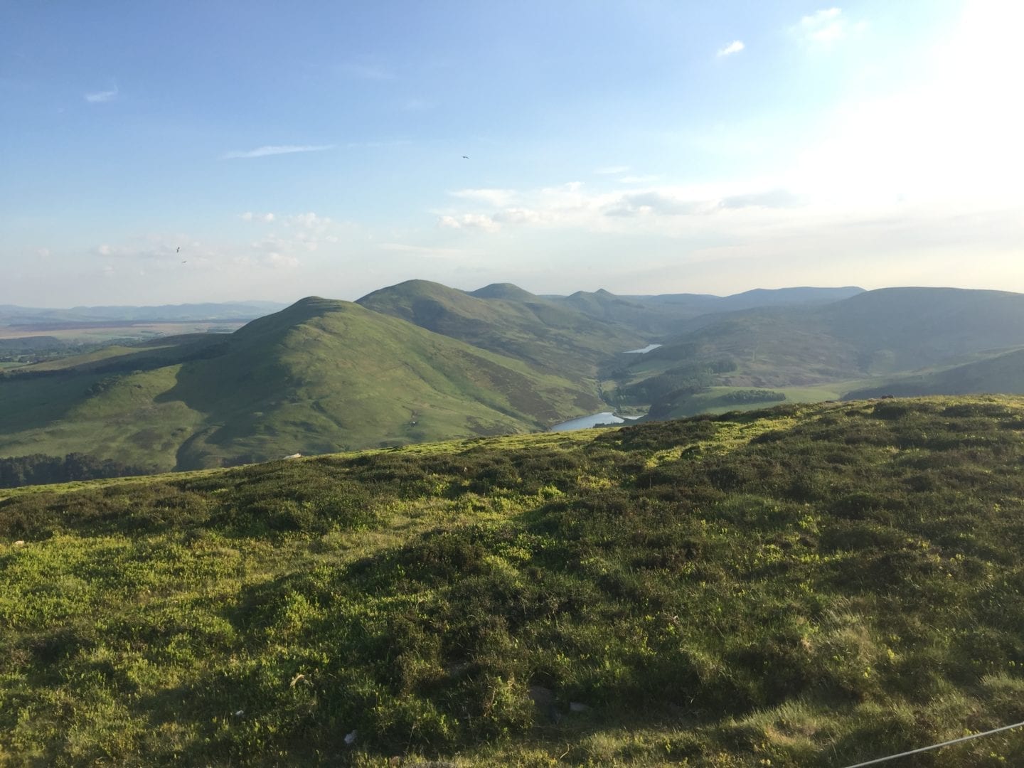 Pentlands