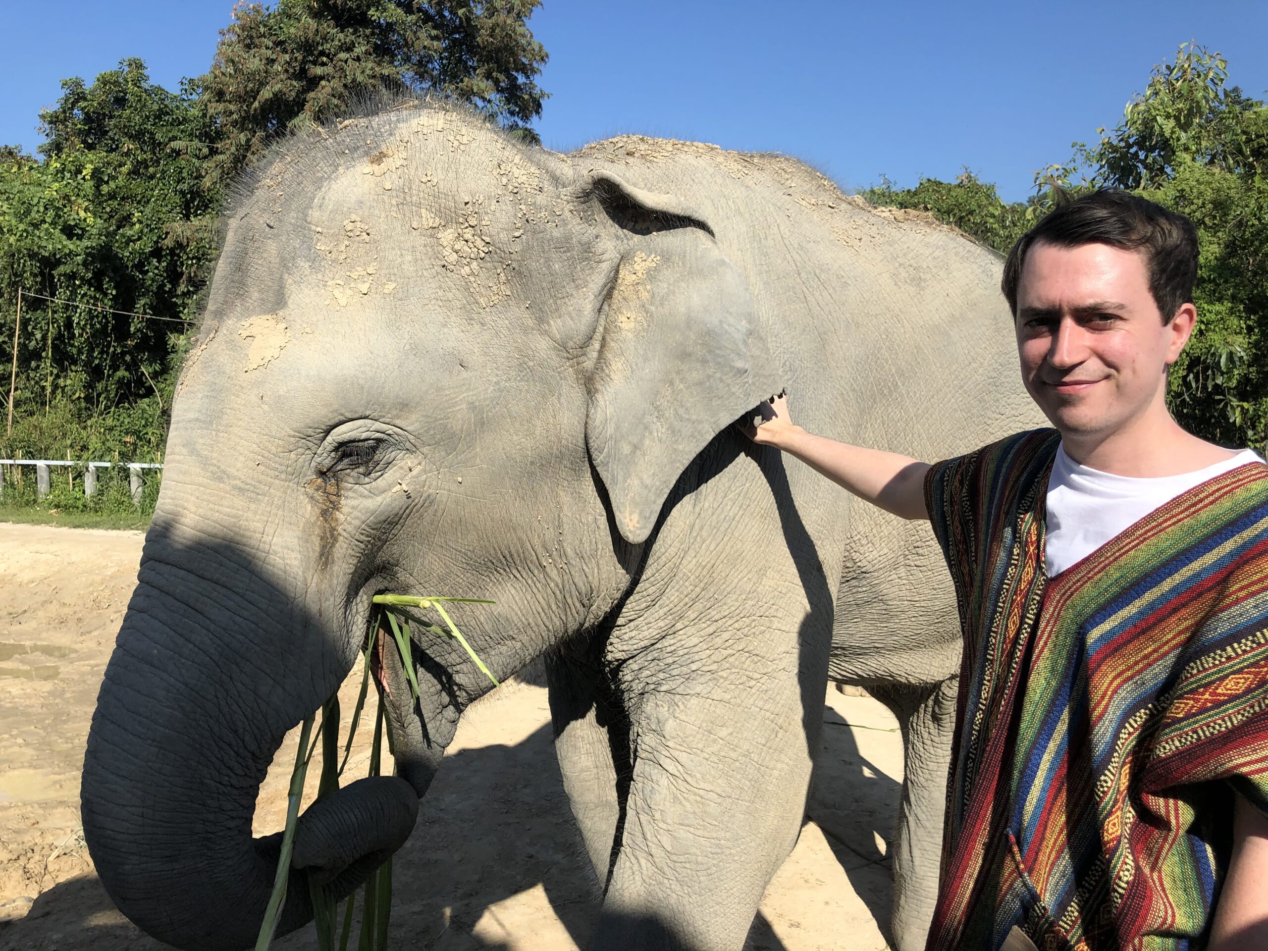 Chiang Mai Elephant Jungle Sanctuary