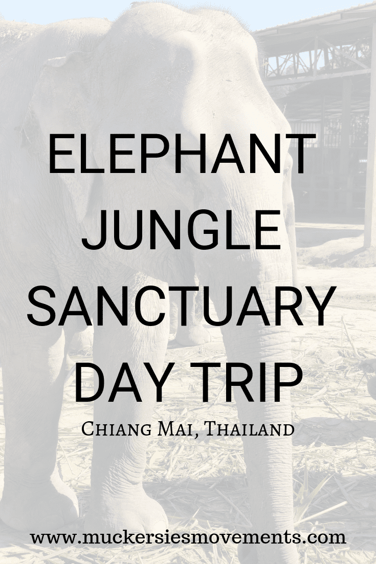 My Day Trip to the Elephant Jungle Sanctuary