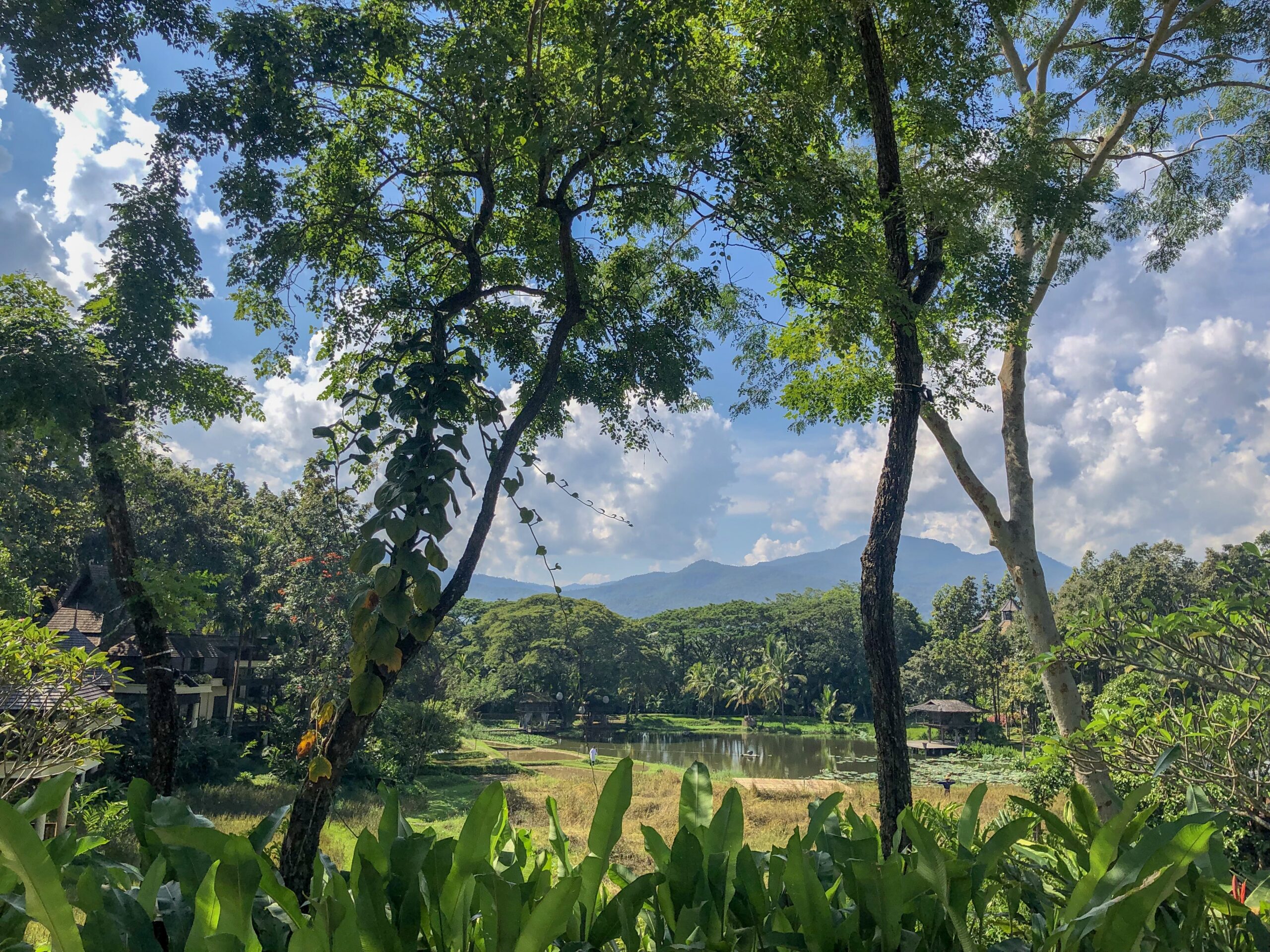 Afternoon Tea Chiang Mai - Four Seasons