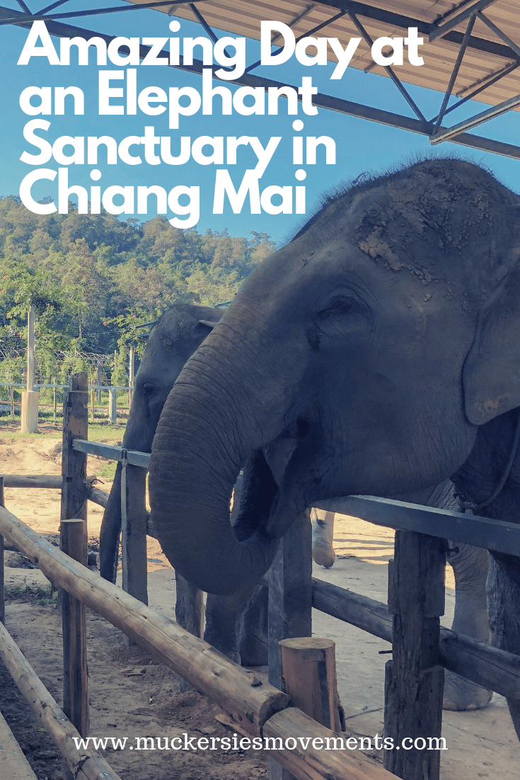 My Day Trip to the Elephant Jungle Sanctuary