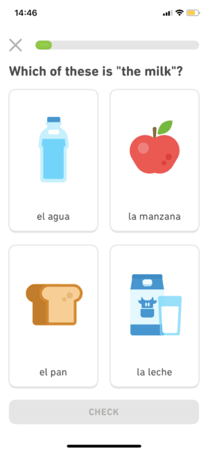 Best Travel Apps - Duolingo Lesson